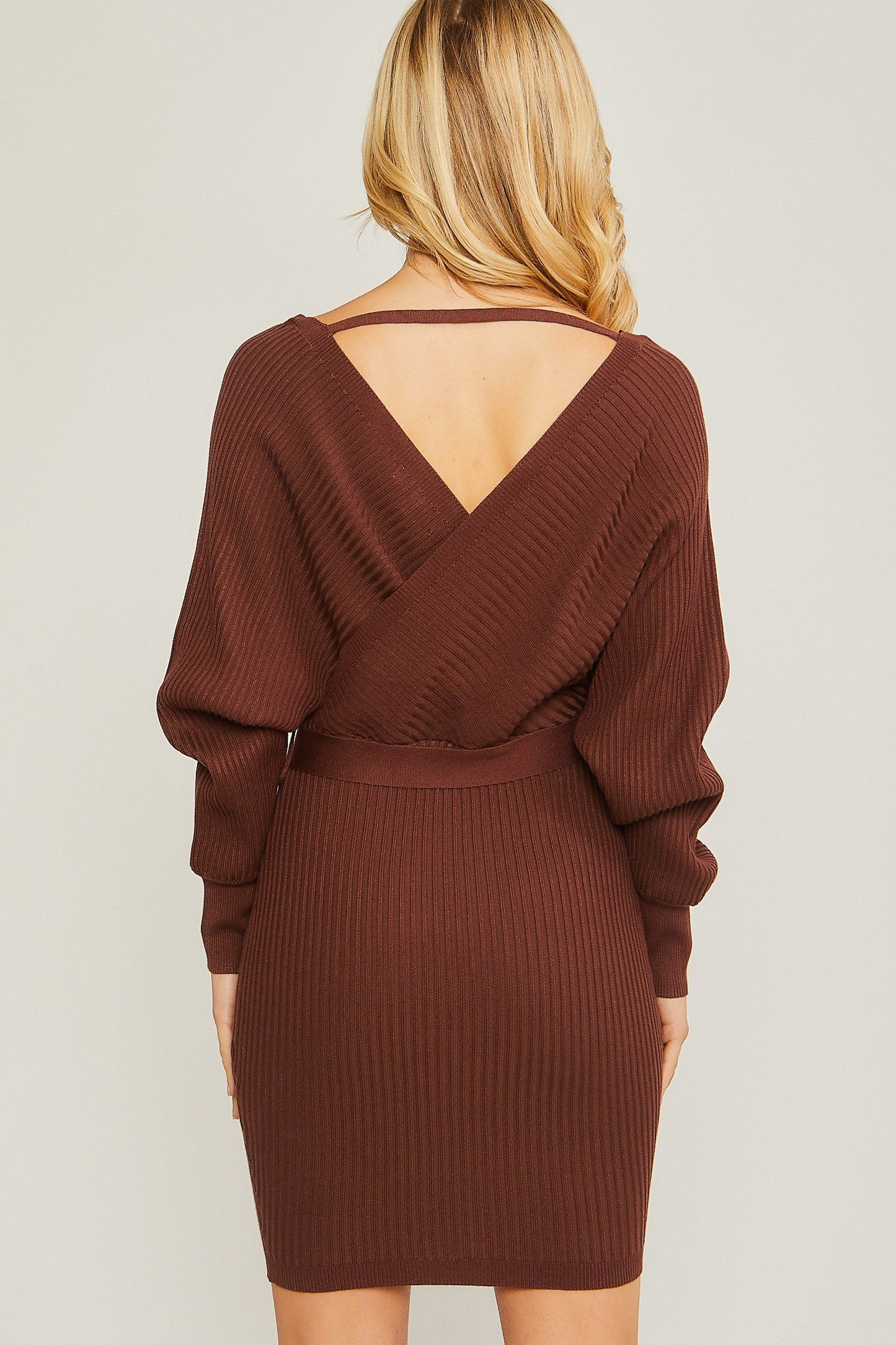 Andrea’s Long Sleeve Dress